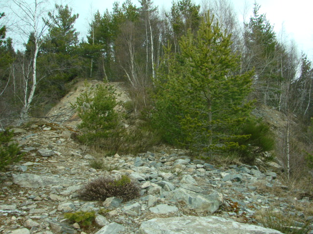 2710.jpg