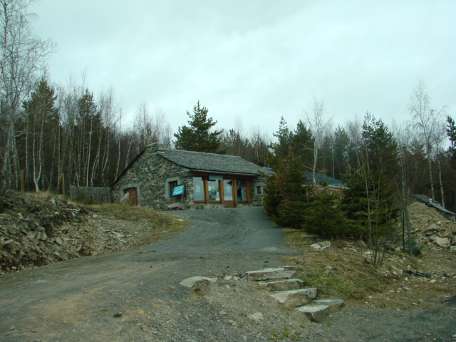 510.jpg
