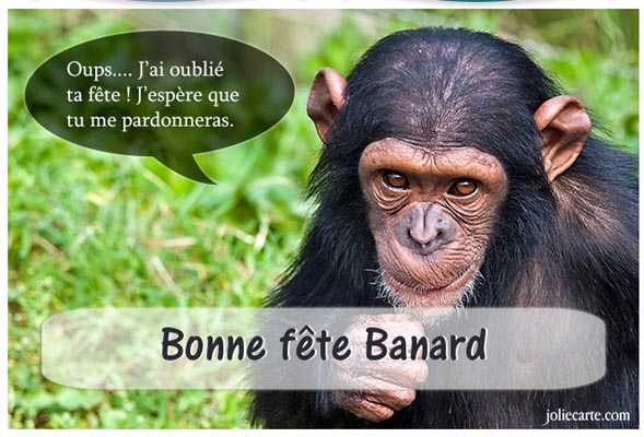 banard10.jpg