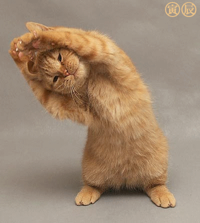 chat_g10.gif