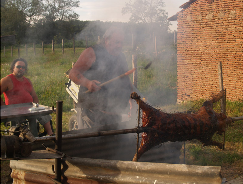 cochon11.jpg