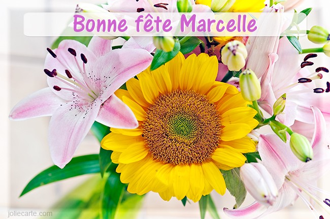 marcel11.jpg