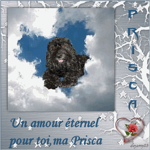 prisca10.jpg