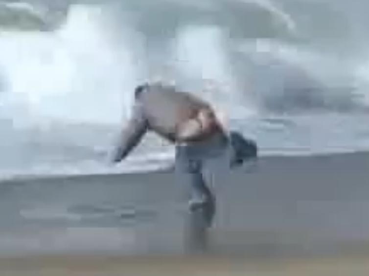 surfer10.jpg