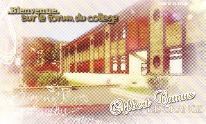 College Albert Camus Ris Orangis
