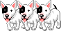 Bully-Junghund Bully-Junghund