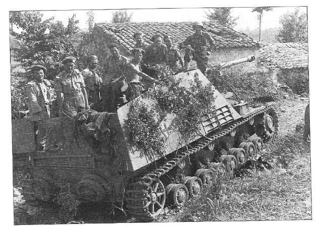 panzer81.jpg