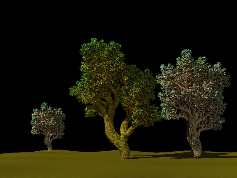 arbres10.jpg