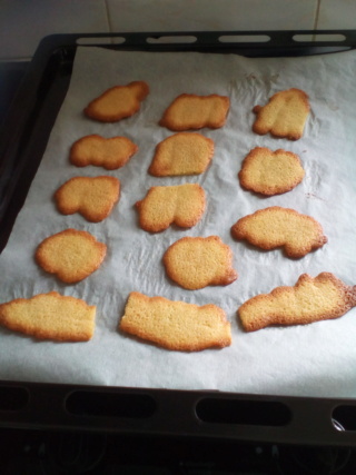 Langues de Chat