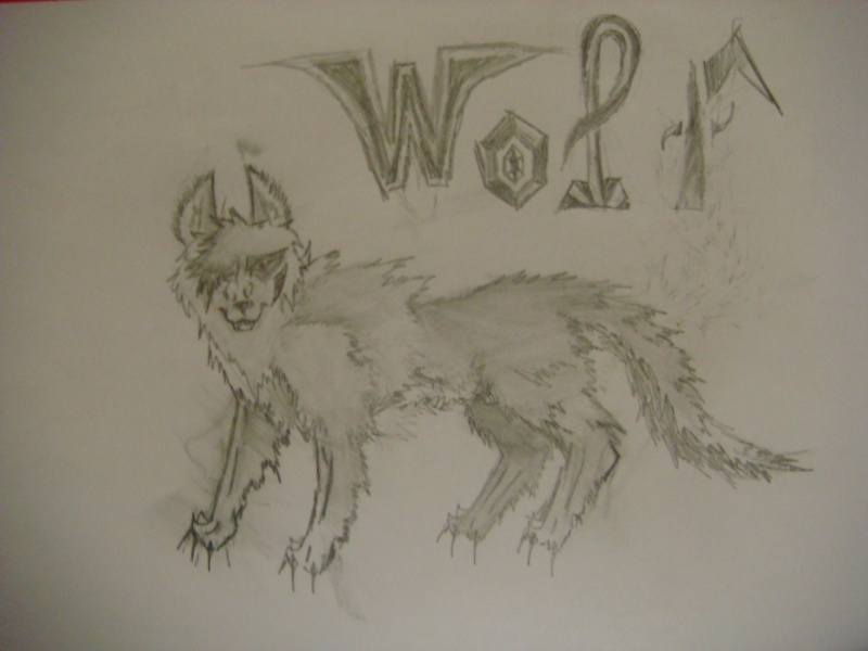 wolf_610.jpg