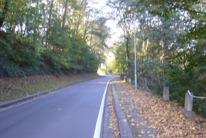 p1050814.jpg