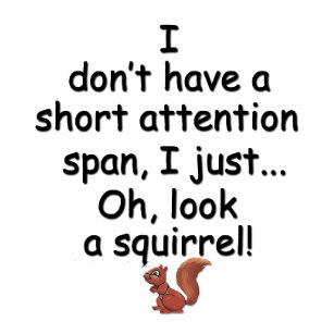 squirr10.jpg